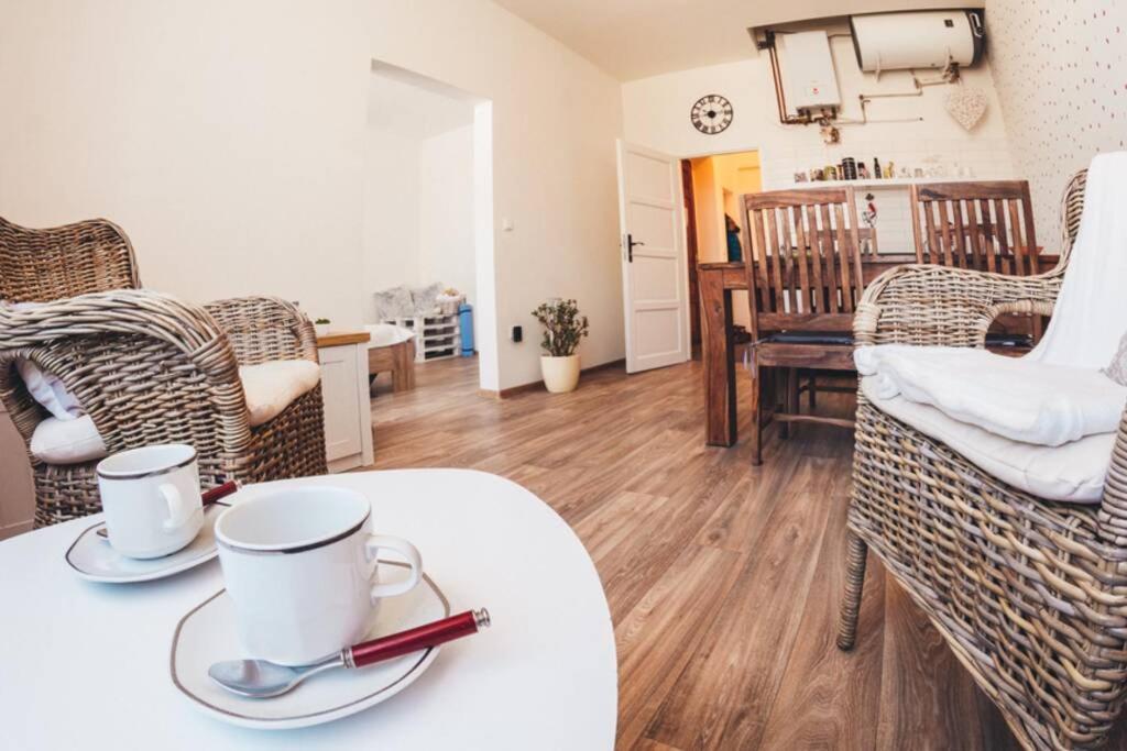 Stylovy Apartman V Centru Nachoda Екстер'єр фото